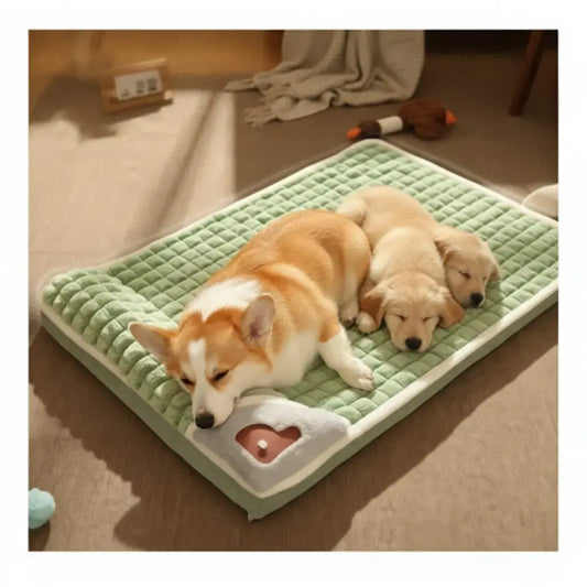 Cama para perro con espuma de alta densidad de 60 x 40 cm, bordes acolchados, tela transpirable, funda removible y lavable, y base antideslizante. Soporte cómodo para perros pequeños, cachorros, perros mayores y gatos.